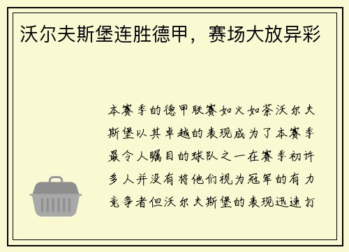 沃尔夫斯堡连胜德甲，赛场大放异彩